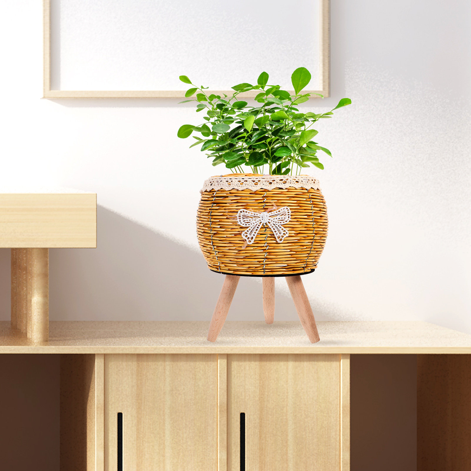 حامل نباتات خشبي منسوج على شكل - مراجعة Bonsai Garden Indoor وسعره