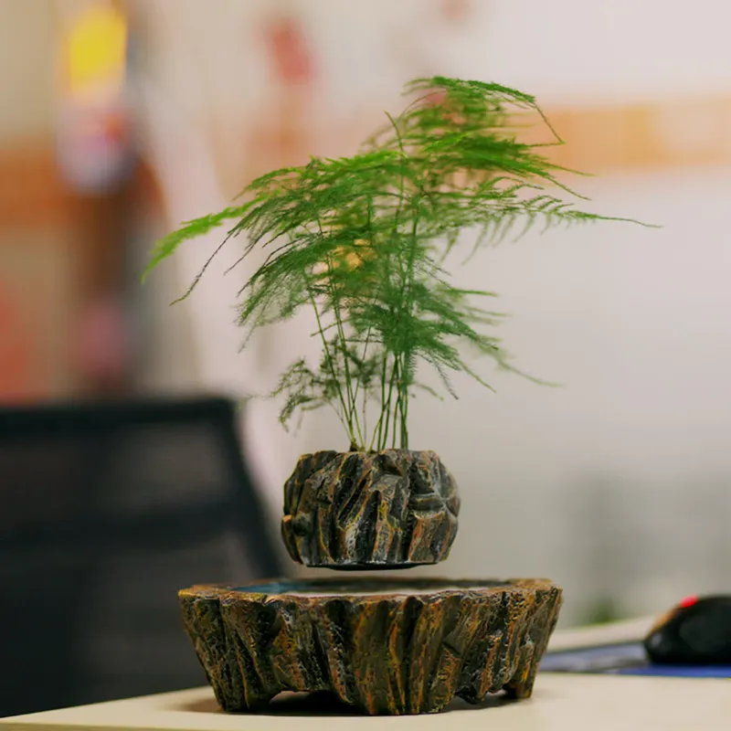 أواني زراعة عمودية كهرومغناطيس - مراجعة Bonsai Vertical Garden وسعره