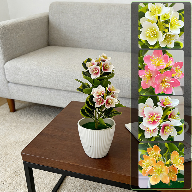 8x25 سنتيمتر شريط عمودي اناء ل - مراجعة Bonsai Vertical Garden وسعره