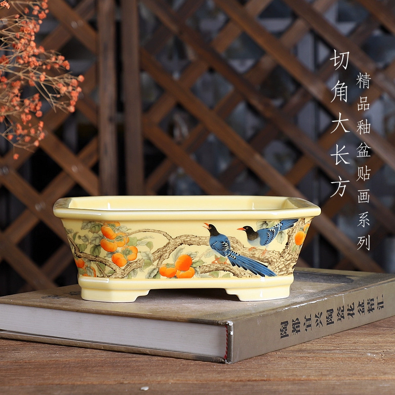 وعاء بونساي مستطيل من البورسلي - مراجعة Bonsai Garden Table وسعره