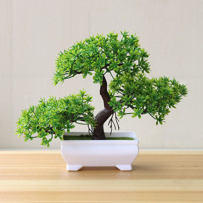 نباتات بونساي اصطناعية، نباتات - مراجعة Bonsai Garden Table وسعره