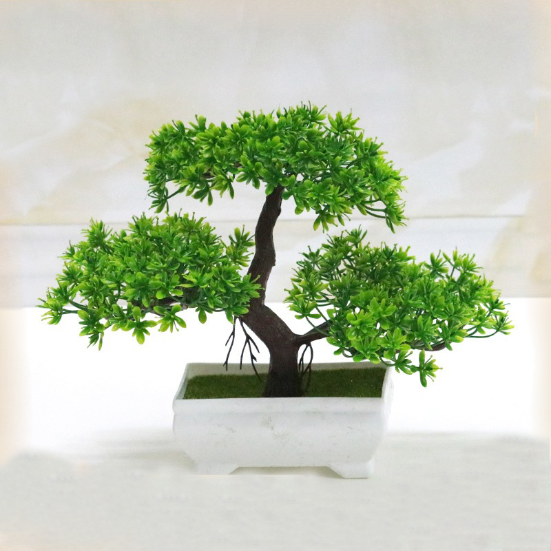 نبات صناعي بيونيك من البلاستيك - مراجعة Bonsai Garden Indoor وسعره